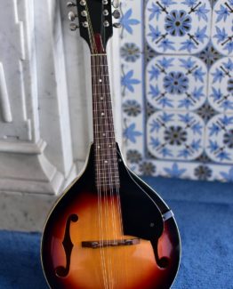 image or Ibanez 551