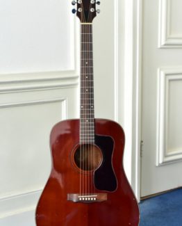 image of guild d-25