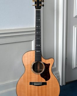 image of martin GPCPA1