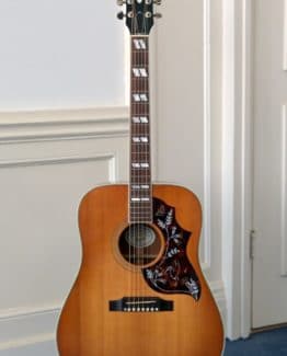 image of gibson hummingbird