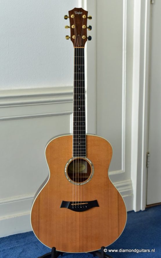 image of taylor gs5