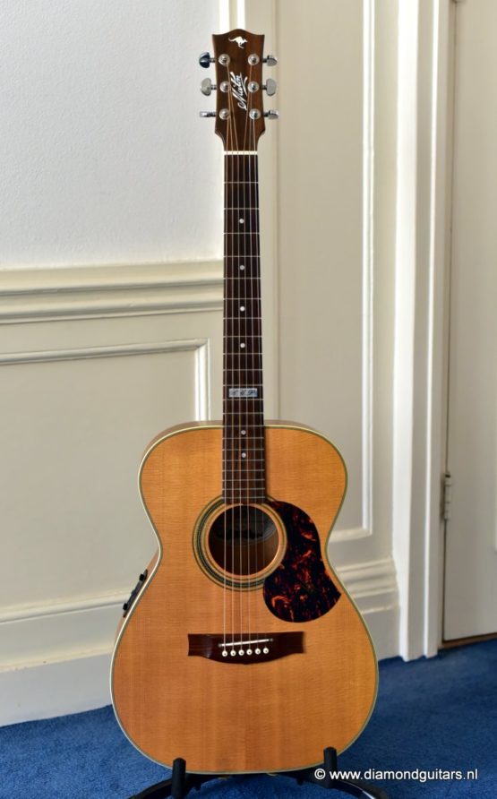 image of Maton EBG808TE