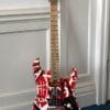 image of EVH Frankie