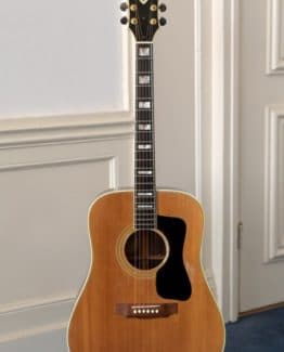 image of vintage guild d-55