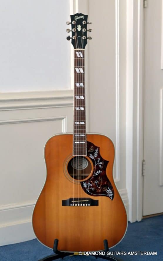 image of gibson hummingbird